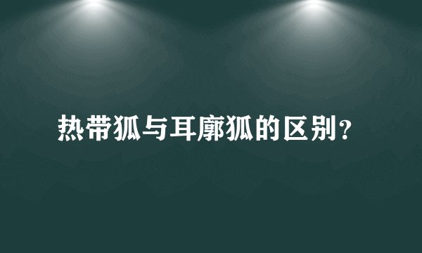 热带狐与耳廓狐的区别？