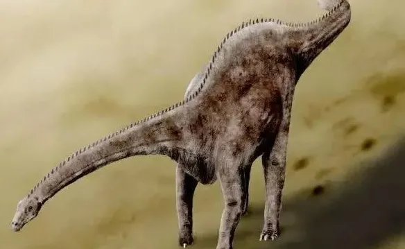 恐龙的名字和特征有哪些？