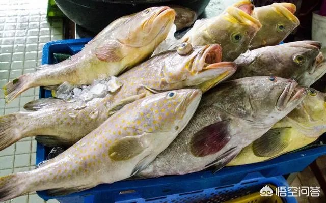 越南岘港这个地方怎么样？有哪些地方值得一去？