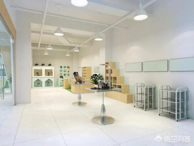 加盟宠物连锁店需要具备什么？