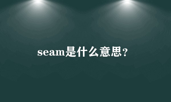 seam是什么意思？