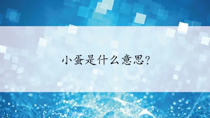 小蛋是什么意思？