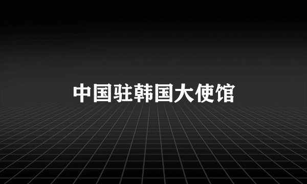 中国驻韩国大使馆