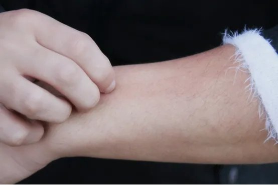 糖尿病吃什么主食最好