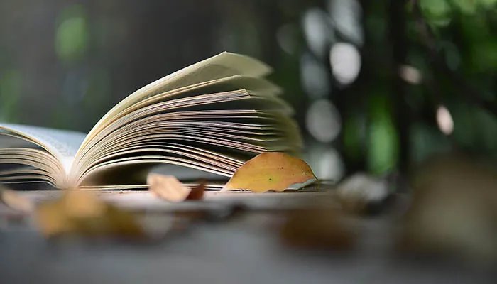 口蜜腹剑的意思