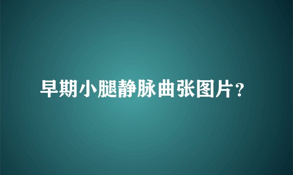 早期小腿静脉曲张图片？