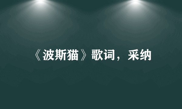 《波斯猫》歌词,采纳