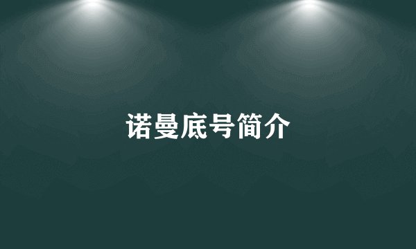 诺曼底号简介