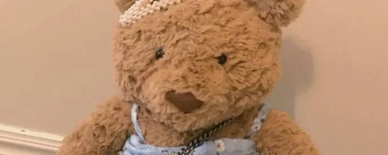 巴塞罗熊有什么含义