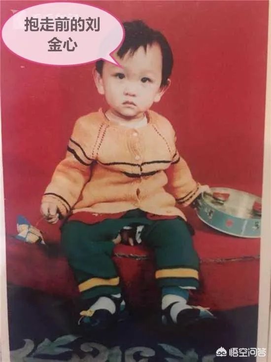 保姆偷子26年还回不成器儿子，亲妈怒怼：这是甩包袱。对此事你怎么评价？