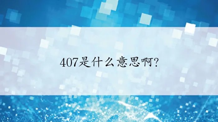 407是什么意思啊？