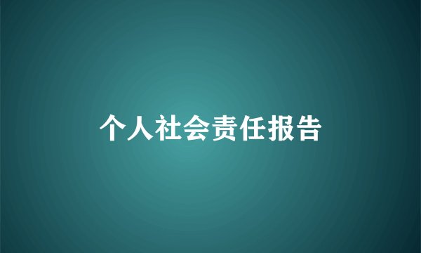 个人社会责任报告