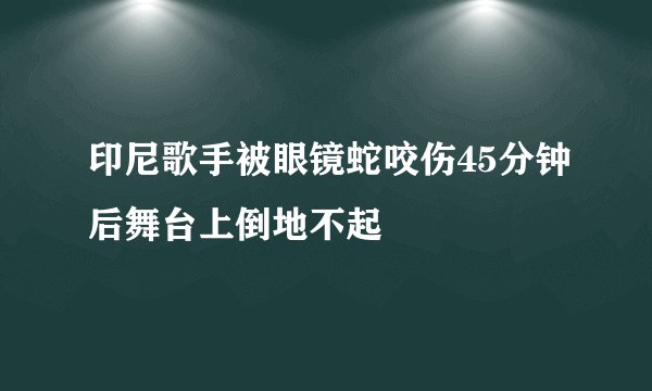 印尼歌手被眼镜蛇咬伤45分钟后舞台上倒地不起