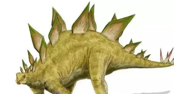 恐龙的名字和特征有哪些？