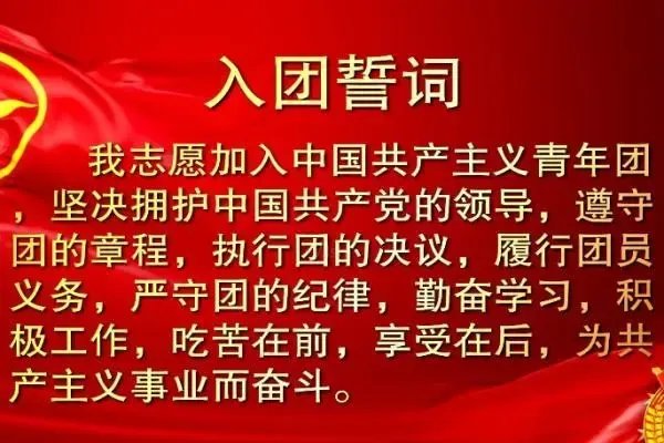 入团志愿怎么写