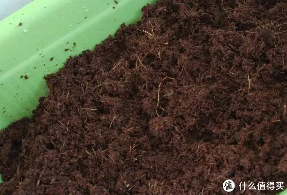 #原创新人#简简单单的阳台种菜，赶紧给自己开辟一个有机蔬菜园吧！