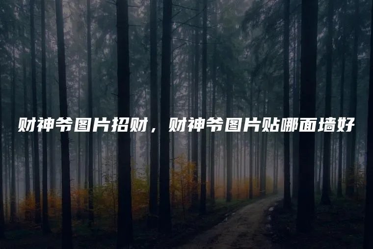 财神爷图片招财，财神爷图片贴哪面墙好