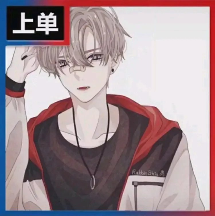 《王者荣耀》头像带职业图片大全