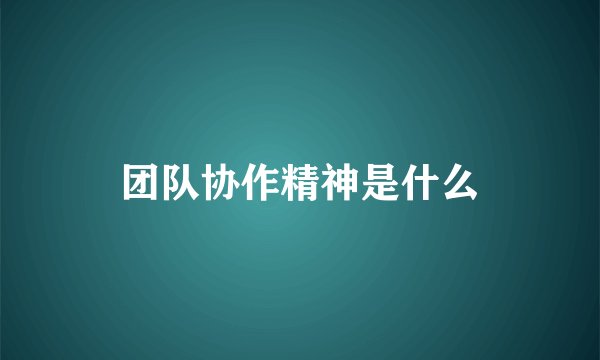 团队协作精神是什么