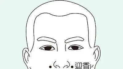 迎香穴在哪个位置图解