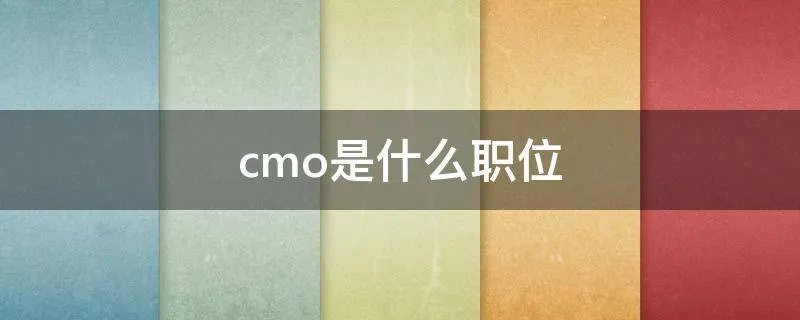 cmo是什么职位