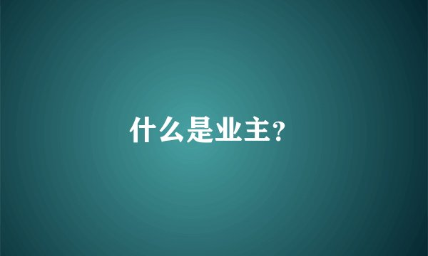 什么是业主？