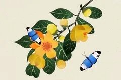 【秋天有什么花开】秋天开的花 秋天盛开的花有哪些 秋天开什么花