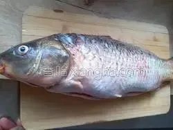 鲤鱼怎么做好吃？