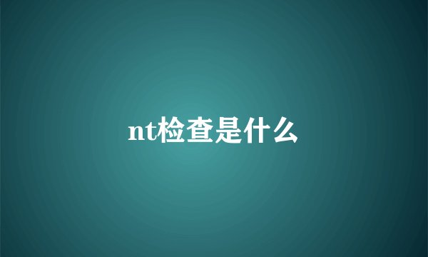 nt检查是什么