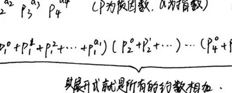 约数是什么意思