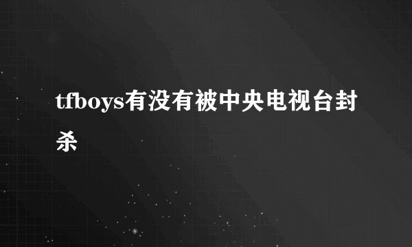 tfboys有没有被中央电视台封杀