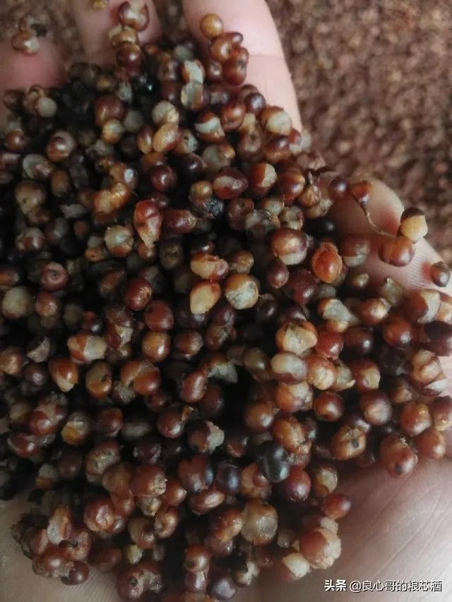 请问茅台酒收藏到底有没有价值？如果有，我们该收藏什么样的茅台酒才增值？