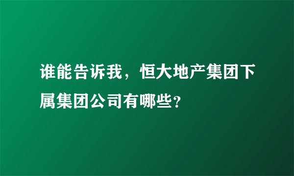 谁能告诉我，恒大地产集团下属集团公司有哪些？