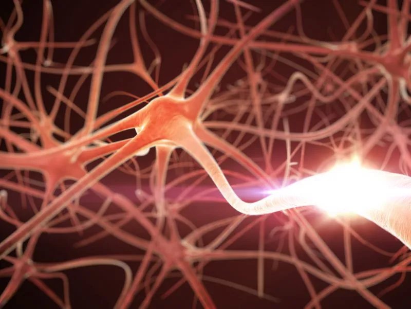 神经损伤怎么办