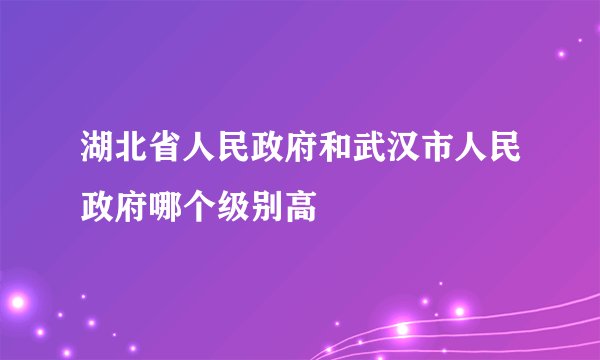 湖北省人民政府和武汉市人民政府哪个级别高