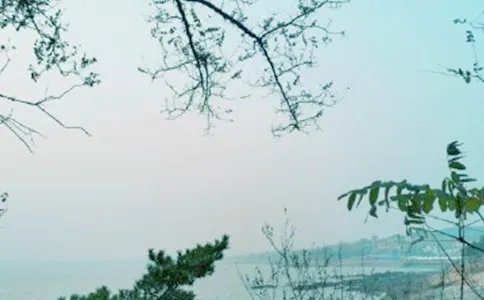 云想衣裳花想容 春风拂槛露华浓什么意思