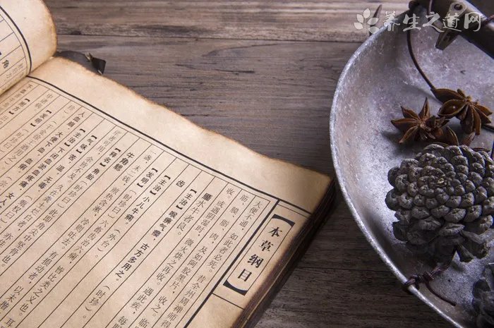 狗狗吃什么会死