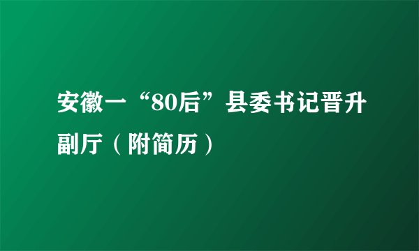 安徽一“80后”县委书记晋升副厅（附简历）