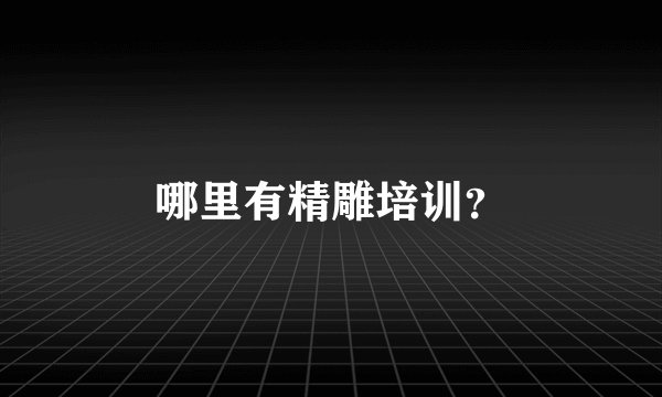 哪里有精雕培训？
