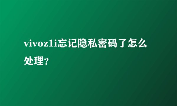 vivoz1i忘记隐私密码了怎么处理？
