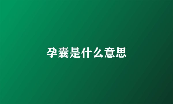 孕囊是什么意思