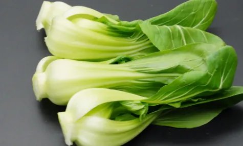 8到9月适合种哪些蔬菜？