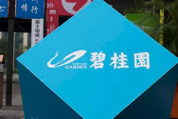 碧桂园杨惠妍第九次成中国女首富，她的身家有多少？