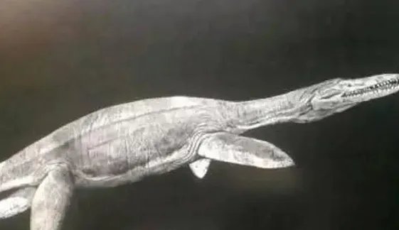 恐龙的名字和特征有哪些？