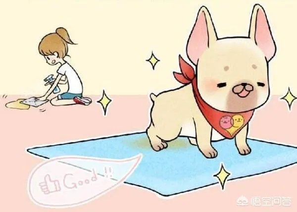 如果把狗狗自己放到陌生环境中