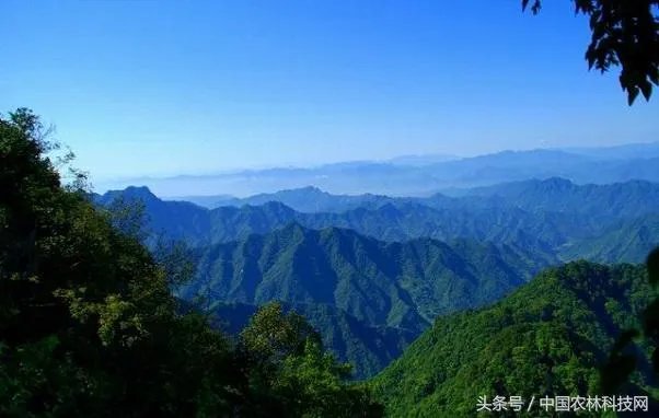 旬阳市有前途吗