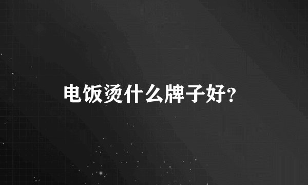 电饭烫什么牌子好？