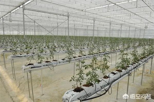 什么是设施农业？