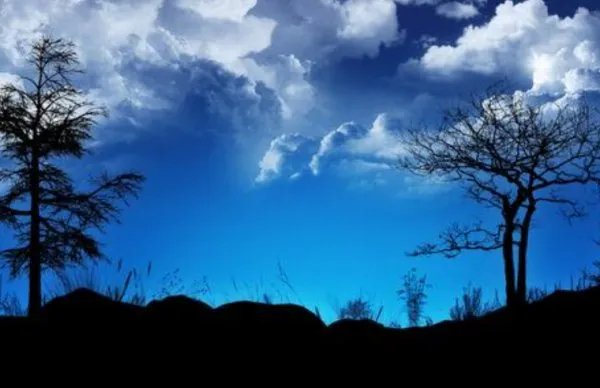 没心没肺的经典句子