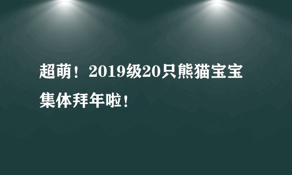 超萌!2019级20只熊猫宝宝集体拜年啦!